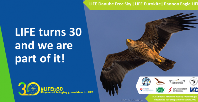 LIFE IS 30 AND WE ARE PART OF IT!